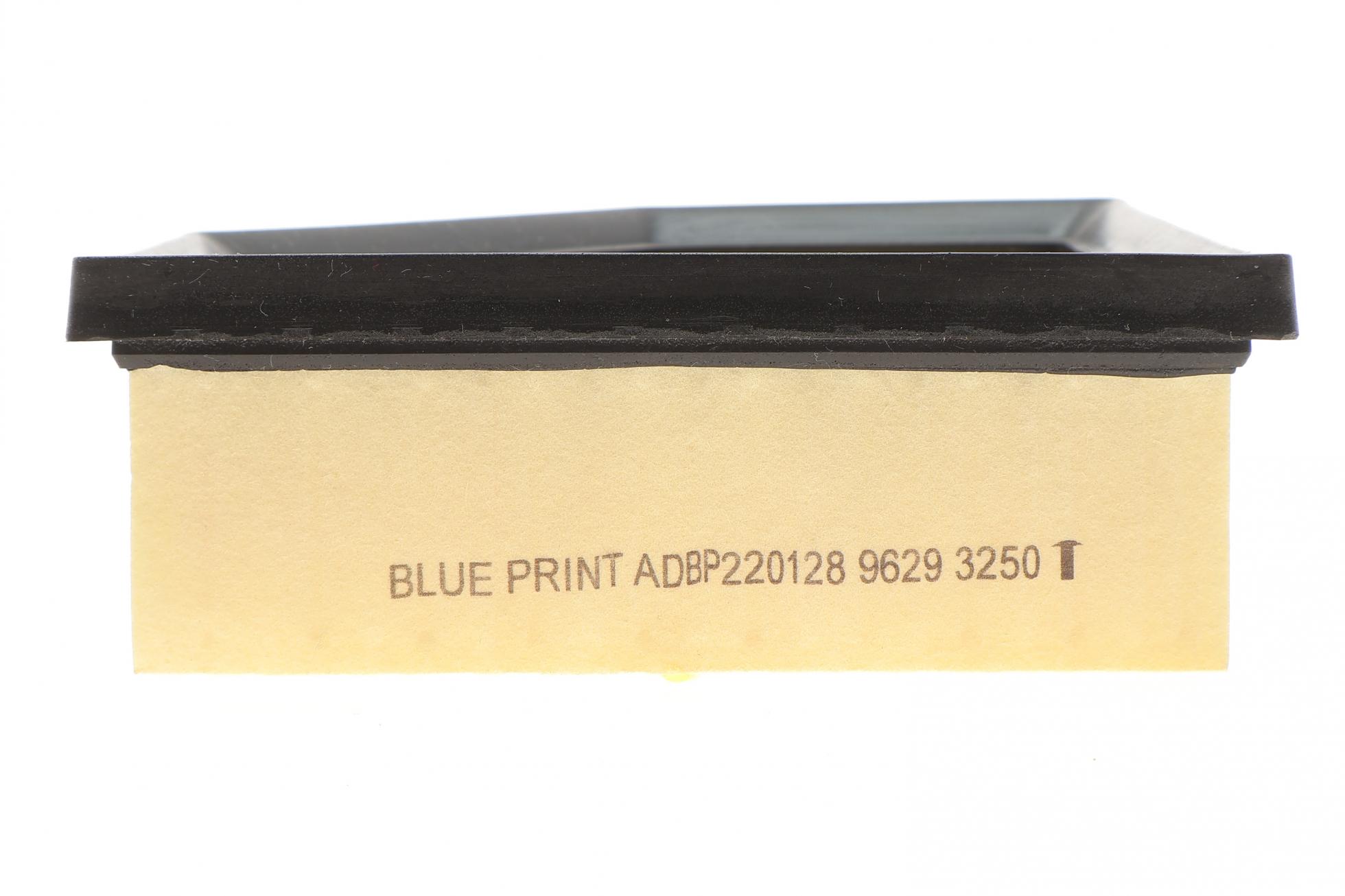 ADBP220128 BLUE PRINT